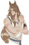  1boy absurdres animal_ears armband bare_arms blue_eyes brown_armband brown_hair chiron_(fate) clenched_hand collarbone fate/grand_order fate_(series) grin haruakira highres horse_boy horse_ears long_hair male_focus mature_male muscular muscular_male simple_background smile solo very_long_hair white_background white_tunic 