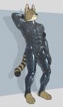  absurd_res aitch anthro bulge clothing felid feline hi_res latex looking_at_viewer male mammal rubber rubber_clothing rubber_suit serval solo 