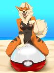  anthro arcanine ball beach beach_ball black_body black_fur breasts canid female fluffy fluffy_tail front_view fur generation_1_pokemon genitals hi_res inflatable looking_at_viewer mammal nintendo nipples nude open_mouth orange_body orange_fur outside pig_(artist) pink_nipples pokeball pokemon pokemon_(species) pussy seaside sky smile solo tail tongue tongue_out 