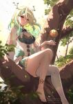  1girl anklet apple ardenlolo artist_name barefoot blush braid breasts ceres_fauna ceres_fauna_(1st_costume) cleavage cleavage_cutout clothing_cutout dress english_commentary feet flower food fruit golden_apple green_dress green_hair green_nails hair_flower hair_ornament hololive hololive_english in_tree jewelry large_breasts long_hair looking_at_viewer mole mole_under_eye nail_polish on_tree outdoors single_thighhigh sitting sitting_in_tree solo thighhighs toenail_polish toenails toes tree twitter_username virtual_youtuber white_thighhighs yellow_eyes 