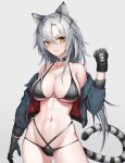  1girl absurdres alternate_costume animal_ears arknights bikini black_bikini black_choker breasts choker chun_bae cleavage grin highres indra_(arknights) large_breasts long_hair looking_at_viewer multi-strapped_bikini navel smile solo stomach string_bikini swimsuit tail tiger_ears tiger_tail v-shaped_eyebrows white_hair yellow_eyes 