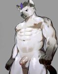  2023 5_fingers abs anthro areola arknights balls bulge detailed_bulge ear_piercing fingers fur genitals grey_background grey_body grey_fur hi_res humanoid_genitalia humanoid_penis hyena hypergryph looking_down male mammal muscular muscular_anthro muscular_male nude penis piercing pluto08010511 pu94_d1de4c simple_background solo spot_(arknights) spots spotted_body spotted_fur spotted_hyena studio_montagne 