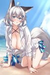  1girl :o ahoge all_fours animal_ears bare_legs barefoot bikini bikini_under_clothes blue_eyes blue_sky blush bow braid breasts cleavage cloud collarbone collared_shirt criss-cross_halter curly_hair day ear_down expressionless grey_hair hair_between_eyes hair_ornament halterneck highres huge_breasts light_rays long_sleeves looking_at_viewer micro_bikini open_clothes open_mouth open_shirt original outdoors shirokuma_a shirt short_hair sky star_(symbol) star_hair_ornament string_bikini striped striped_bow sunlight swimsuit tail turning_head water white_bikini white_shirt 