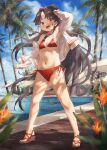  1girl barefoot bikini black_hair blush brown_eyes day full_body highres jacket kantai_collection long_hair long_sleeves navel nisshin_(kancolle) open_clothes open_jacket open_mouth outdoors palm_tree red_bikini sandals short_eyebrows smile solo standing swimsuit toka_(marchlizard) tree very_long_hair white_jacket 