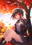  1girl ankle_socks artist_name autumn autumn_leaves black_ribbon black_socks blush brown_hair cardigan commentary_request dappled_sunlight day falling_leaves fukahire_(ruinon) highres holding holding_leaf leaf long_sleeves looking_at_viewer maple_leaf maple_tree neck_ribbon one_eye_covered open_cardigan open_clothes original outdoors parted_lips plaid_cardigan puffy_long_sleeves puffy_sleeves red_eyes ribbon shirt shirt_tucked_in sitting socks solo sunlight thighs tree under_tree white_headwear white_shirt 