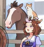  :3 =_= ahoge bow bowtie brown_hair cat commentary creature_and_personification electric_fan horse horse_girl horseshoe_ornament long_hair meisho_doto_(racehorse) meisho_doto_(umamusume) meto_(cat) multicolored_hair oishi_oiru puffy_short_sleeves puffy_sleeves purple_bow purple_bowtie purple_eyes purple_serafuku purple_shirt real_life sailor_collar sailor_shirt school_uniform serafuku shirt short_hair short_sleeves tracen_school_uniform umamusume white_hair white_sailor_collar 