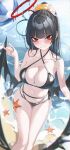  1girl 2080167236 absurdres ahoge bare_arms bare_shoulders beach bikini black_bikini black_hair black_wings blue_archive blunt_bangs blush breasts cleavage closed_mouth collarbone day hair_between_eyes hair_ornament halo halterneck highres large_breasts long_hair looking_at_viewer low_wings melting_halo multi-strapped_bikini navel official_alternate_costume outdoors ponytail red_eyes red_halo sand smile solo starfish stomach string_bikini swimsuit thighs tsurugi_(blue_archive) tsurugi_(swimsuit)_(blue_archive) very_long_hair water wings 