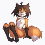  anthro astra canid canine elronya fan_character female fox mammal maple solo 