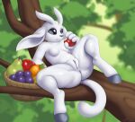  anus apple basket black_eyes breasts butt container ears_down eating eating_food female food fruit genitals guardian_spirit hi_res holding_food holding_object hooves nude orange_(fruit) ori_(ori) ori_(series) pear pivoted_ears plant pussy reclining slimefur solo spread_legs spreading tail tree white_body 