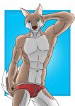  abs absurd_res anthro bulge canid canine canis clothed clothing fur heterochromia hi_res looking_at_viewer male mammal muscular muscular_anthro muscular_male simple_background solo underwear white_body white_fur wolf xzenonart 