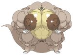  absurd_res big_breasts breasts female generation_1_pokemon hi_res kangaskhan muscular muscular_thighs nintendo pokemon pokemon_(species) unknown_artist 