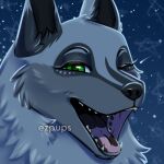  ambiguous_gender blush blush_lines canid canine canis eyebrows ezpups feral fluffy headshot_portrait icon low_res mammal night one_eye_closed open_mouth open_smile portrait sharp_teeth sky smile snout solo star starry_sky teeth tongue wink wolf 