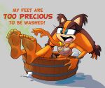  absurd_res anthro badger barefoot feet female foot_focus hi_res humanoid_feet mammal mustelid musteline plantigrade sega smelly smelly_feet soles solo sonic_boom sonic_the_hedgehog_(series) sticks_the_jungle_badger toes wigmania 