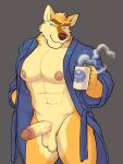  anthro balls bedroom_eyes canid canine canis circumcised clothed clothing coffee_mug erection father_(lore) fur genitals hi_res large_pecs male mammal narrowed_eyes nipples open_clothing open_robe parent_(lore) penis robe seductive smooth_pelvis uneven_balls vasuki wolf yellow_body yellow_fur 