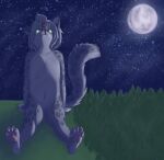  2017 anthro arma_(charityssongbird) canid canine canis clothed clothing digital_media_(artwork) dobermann domestic_dog duo extreme_size_difference felid female field forest fur green_eyes grey_body hair hi_res kina_heijima larger_male leopard light lying macro male male/female mammal markings moon moonlight night nude on_side pantherine pinscher plant red_hair runt_(charityssongbird) sitting size_difference smaller_female smile snow_leopard spots spotted_body spotted_fur spotted_markings star swimwear tail tree 