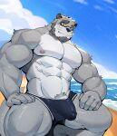  2023 anthro aquaticrecon beach beard biceps blue_clothing blue_sky blue_underwear blush blush_lines bulge clothed clothing cloud day deltoids eyewear facial_hair fur glasses goatee grey_body grey_eyes grey_fur grey_hair hair hi_res male mammal muscular muscular_anthro muscular_male muscular_thighs mustelid navel nipples otter pecs pubes sand sea seaside sideburns siggy_(storiaxion) sky smile solo underwear underwear_only water wave whiskers 