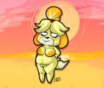  animal_crossing animal_humanoid anthro areola beach big_areola canid canid_humanoid canine canine_humanoid chubby_female dgm2k dog_humanoid female genitals humanoid isabelle_(animal_crossing) mammal mammal_humanoid nintendo pussy sand sea seaside short_stack slightly_chubby solo sun sunset water white_eyes 