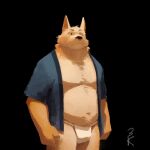  3000vnd anthro asian_clothing bottomwear canid canine canis clothing domestic_dog east_asian_clothing fundoshi fur hi_res japanese_clothing loincloth male mammal multicolored_body multicolored_fur musclegut solo two_tone_body two_tone_fur underwear yellow_body yellow_fur 