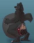  anal anal_vore anthro butt canid canine canis duo genitals hi_res knot male male/male mammal nude penis quetzalcoatlbeautiful0 vore wolf 