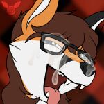  albinoraynedeer anthro bodily_fluids canid canine cum cum_on_face cum_on_glasses eyewear fox genital_fluids glasses hi_res male mammal tongue tongue_out 