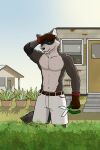  5_fingers anthro artsywoodpecker bodily_fluids bottomwear clothing echo_(game) echo_(series) echo_project fingers fur gardening kudzu_(echo) male mammal multicolored_body multicolored_fur muscular muscular_male procyonid raccoon shorts solo sweat visual_novel white_bottomwear white_clothing white_shorts 