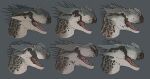  ambiguous_gender anthro blue_eyes bone_frill diagram dinosaur frill_(anatomy) group horn markings model_sheet quills reptile scalie story story_in_description teeth theropod tsaagan_(artist) 
