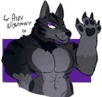  &lt;3 2018 alex_nightmurr anthro black_body black_ears black_fur black_nose black_tuft canid canine canis claws clawzetto digital_media_(artwork) fur grey_body grey_fur hand_on_hip male mammal multicolored_body multicolored_fur muscular navel neck_tuft pecs purple_background purple_eyes simple_background solo teeth text tuft white_background wolf 