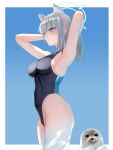  1girl animal_ear_fluff animal_ears arms_behind_head bakaking black_one-piece_swimsuit blue_archive blue_eyes blue_sky breasts competition_swimsuit covered_navel cowboy_shot cross_hair_ornament extra_ears grey_hair hair_ornament halo highres low_ponytail medium_breasts medium_hair mismatched_pupils multicolored_clothes multicolored_swimsuit official_alternate_costume one-piece_swimsuit seal_(animal) shiroko_(blue_archive) shiroko_(swimsuit)_(blue_archive) sky standing swimsuit wolf_ears 