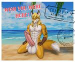  anthro areola balls beach big_penis biped blonde_hair blue_eyes canid canine countershade_face countershade_torso countershading cracky dipstick_tail english_text erection eyebrows eyewear fingers fox genitals glans glasses hair hi_res huge_penis humanoid_genitalia humanoid_penis jcfox male mammal markings nipples open_mouth open_smile penis seaside smile solo tail tail_markings text 