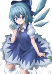  arm_support blue_bow blue_dress blue_eyes blue_hair bow cirno collared_dress dress expressionless frog frozen_frog hair_bow highres holding ice ice_wings invisible_chair looking_at_animal magarikado_(mgrkd) puffy_short_sleeves puffy_sleeves red_ribbon ribbon short_hair short_sleeves sitting soaking_feet touhou water white_background wing_collar wings 