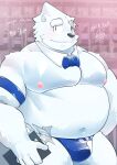  2023 anthro bear belly big_belly black_nose bow_tie clothing hi_res humanoid_hands kawakyun1 kemono male mammal money moobs navel nipples overweight overweight_male polar_bear solo underwear ursine white_body 