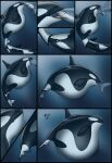  ambiguous_gender ambiguous_pred ambiguous_prey background_character bloated cetacean comic dolorcin dolphin feral feral_pred feral_prey fish genitals group hi_res huge_belly male male_prey mammal marine multiple_prey oceanic_dolphin oral_vore orca partially_inside penis penis_tip shark soft_vore stuffing swallowing tail tail_fetish tail_play tail_vore toothed_whale trio_focus underwater vore water 