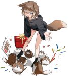  1girl absurdres animal animal_ears black_jacket black_shorts black_socks blue_eyes blush box brown_hair collar confetti dog_ears dog_girl dog_tail gift gift_box hasuki_rui heart heterochromia highres indie_virtual_youtuber jacket long_sleeves open_mouth party_popper red_eyes shadow short_hair shorts sign simple_background smile socks solo standing tail tearing_up u_no_nijiart virtual_youtuber white_background 