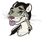  amaretto_snow anthro blep felid hair male mammal pantherine ponytail snow_leopard solo tongue tongue_out umbrose whiskers 