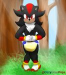  blush bodily_fluids clothed clothing diaper embarrassed eulipotyphlan footwear genital_fluids hedgehog hi_res infantilism male mammal oswald_the_otter peeing sega shadow_the_hedgehog shoes solo sonic_the_hedgehog_(series) urine wearing_diaper wet_diaper wetting 
