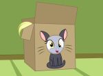  badumsquish box cardboard cardboard_box container derp_eyes derpy_hooves_(mlp) domestic_cat equid equine felid feline felis friendship_is_magic hasbro hi_res hole_in_box mammal my_little_pony tail yellow_eyes yellow_tail 