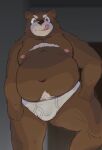  2023 anthro bear belly big_belly brown_body bulge clothing kemono kotadash male mammal moobs navel nipples overweight overweight_male solo tongue tongue_out underwear young 