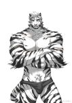  1boy abs absurdres animal_ears arknights bara black_male_underwear briefs bulge crossed_arms facial_hair feet_out_of_frame frown furry furry_male goatee highres hujusheng large_pectorals looking_at_viewer male_focus male_underwear mountain_(arknights) muscular muscular_male navel_hair pectoral_squeeze pectorals scar scar_across_eye short_hair solo standing stomach straight-on thick_eyebrows tiger_boy tiger_ears tiger_stripes topless_male underwear white_background white_fur white_hair 