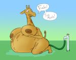  abdominal_bulge anthro areola belly breast_expansion breasts bursting dialogue expansion female giraffe giraffid hi_res inflation liquid_inflation mammal nerea_(nezzieplump) nezzieplump overweight popping solo thick_thighs water_inflation 