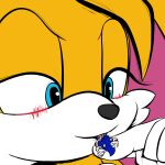  1:1 2023 5_fingers absurd_res ambiguous_gender anthro blue_eyes canid canine digital_media_(artwork) duo eulipotyphlan extreme_size_difference eyes_closed fingers fox generalgodzilla hedgehog hi_res mammal micro miles_prower sega simple_background size_difference smile sonic_the_hedgehog sonic_the_hedgehog_(series) 