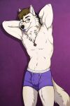  annairu anthro blep boxer_briefs bulge canid canine canis clothed clothing eyewear fluffy glasses hi_res jewelry male mammal necklace sabbyth scruffy solo tongue tongue_out topless topless_anthro topless_male underwear wolf 