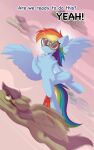  absurd_res blue_body blue_feathers blue_fur english_text equid equine eyewear feathered_wings feathers female feral friendship_is_magic fur genitals goggles group hasbro hi_res keetch10 mammal my_little_pony pegasus pussy rainbow_dash_(mlp) text wings 
