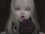  12yun30 1girl black_background blunt_bangs close-up commentary expressionless flower grey_eyes highres lips long_hair looking_at_viewer original parted_lips purple_flower purple_rose red_lips rose simple_background solo symbol-only_commentary white_hair 