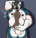  anthro canid canine canis clothed clothing domestic_dog hi_res husky male mammal musclegut musky_armpit nordic_sled_dog revealing_penis skippysbonezone slightly_chubby solo solo_focus spitz underwear underwear_only 
