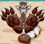  anthro beach claws cute_expression eugeniyburnt felid hi_res male mammal pantherine pawpads paws seaside solo tail tiger tongue 