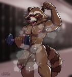  2023 abs anthro areola armpit_hair balls biceps big_penis biped bodily_fluids body_hair brown_body brown_fur digital_media_(artwork) dumbbell exercise eyebrows foreskin fur fyhornz genitals glans guardians_of_the_galaxy hi_res humanoid_genitalia humanoid_penis male mammal markings marvel muscular muscular_anthro muscular_male musk musk_clouds musky_armpit musky_balls musky_cock navel nipples open_mouth open_smile partially_retracted_foreskin pecs penis procyonid pubes raccoon ring_(marking) ringtail rocket_raccoon smile solo standing sweat tail tail_markings tan_body tan_fur teeth tongue tongue_out weights workout 