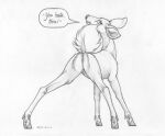  anus deer ecmajor female feral genitals hi_res mammal monochrome pussy raised_tail solo tail teats 
