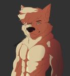  absurd_res anthro canid canine canis depictionexpress fur grey_background harsh_lighting hi_res looking_at_viewer male mammal muscular muscular_anthro muscular_male nipples simple_background solo solo_focus white_body white_fur wolf 