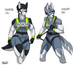  absurd_res anthro canid canine canis domestic_dog duo elkhound felid female gasmaskfox harness hi_res jamthund mammal pantherine ronja_(gasmaskfox) sasha_(gasmaskfox) siberian_tiger spitz tiger 