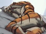  anthro butt dan_smith_(inubikko) digital_media_(artwork) felid inubikko lying male mammal muscular muscular_male on_side pantherine rear_view sleeping solo tail tiger 